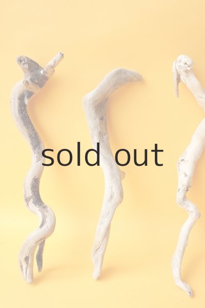 画像2: 流木根セット (2)