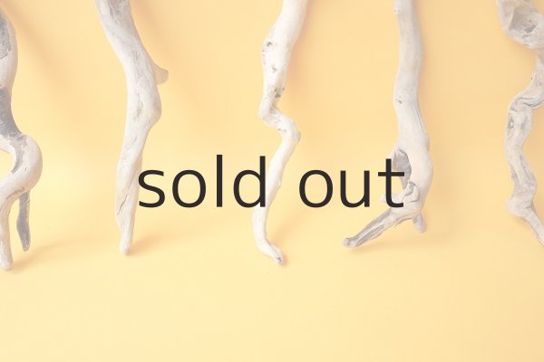 画像5: 流木根セット (5)