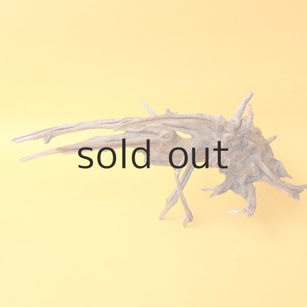 画像4: ミニ流木根 (4)