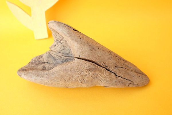 画像4: 変形流木 (4)