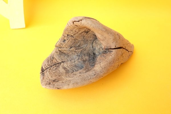 画像3: 変形流木 (3)