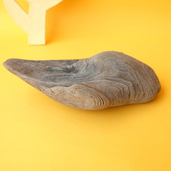 画像3: 変形流木 (3)