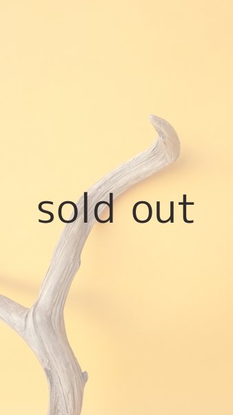 画像3: 小枝流木 (3)