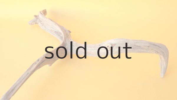 画像6: 小枝流木 (6)