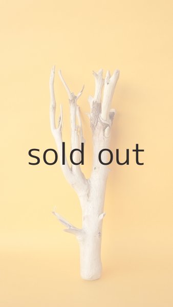 画像1: 小枝流木 (1)