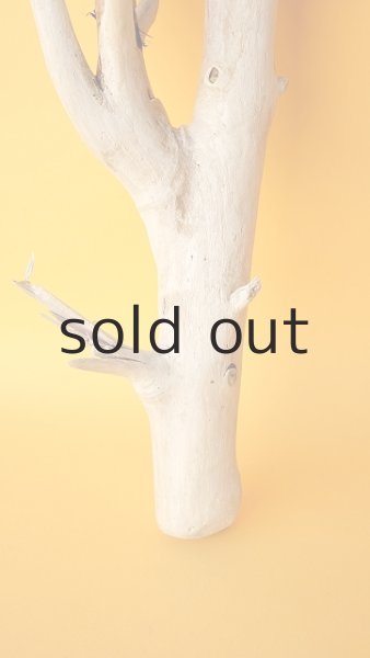 画像2: 小枝流木 (2)