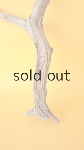 画像2: 小枝流木 (2)