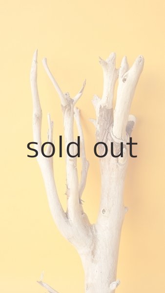 画像3: 小枝流木 (3)