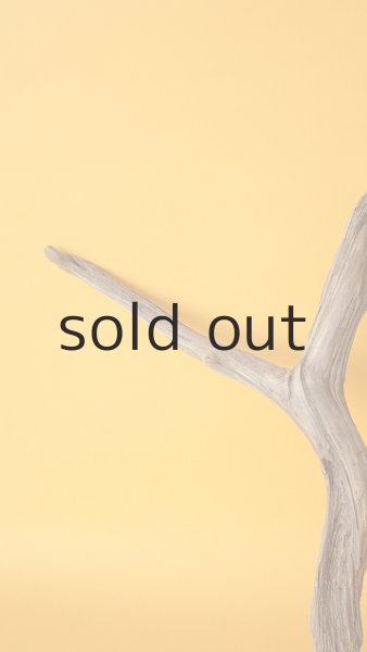 画像4: 小枝流木 (4)