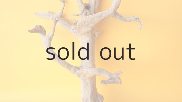 画像4: 小枝流木 (4)