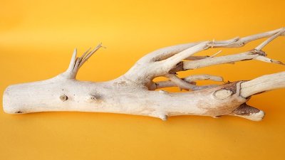 画像2: 小枝流木