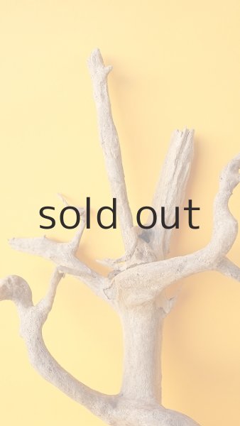 画像3: 小枝流木 (3)