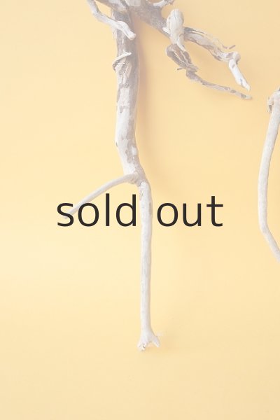 画像2: 流木根セット (2)