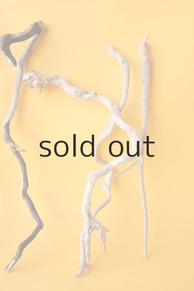 画像4: 流木根セット (4)