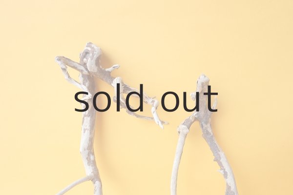 画像4: 流木根セット (4)