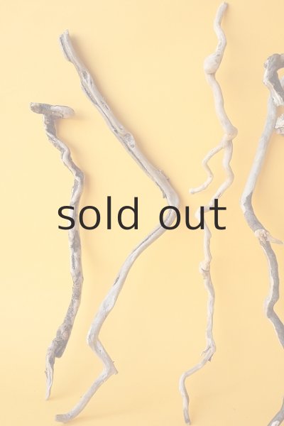 画像2: 流木根セット (2)