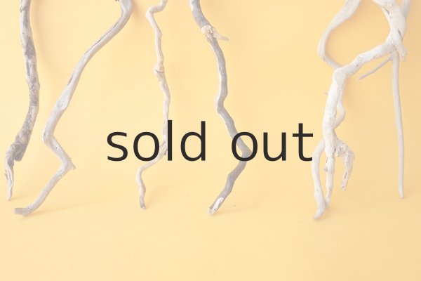 画像5: 流木根セット (5)