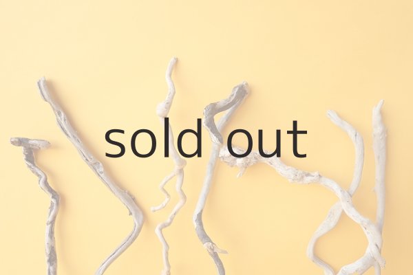 画像6: 流木根セット (6)