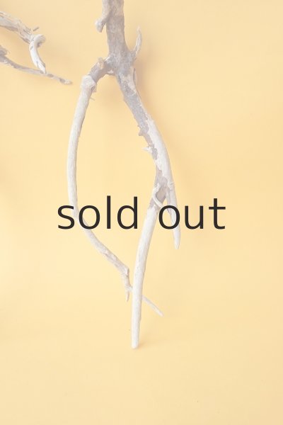 画像3: 流木根セット (3)