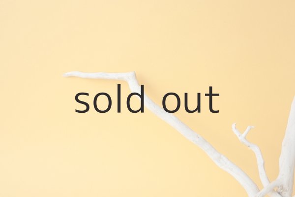 画像4: 流木根 (4)