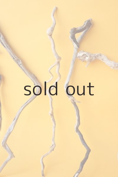 画像3: 流木根セット (3)