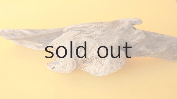 画像5: 変形流木 (5)