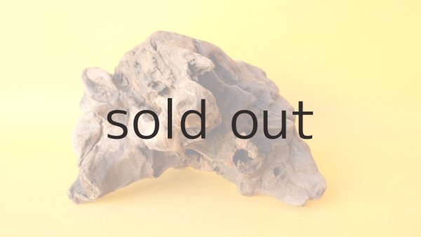 画像4: 変形流木 (4)