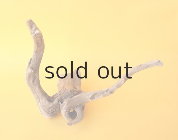 画像4: ミニ流木根 (4)