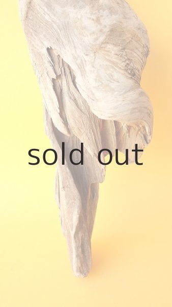 画像2: 変形流木 (2)