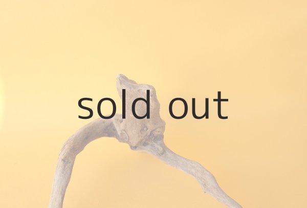 画像3: ミニ流木根 (3)