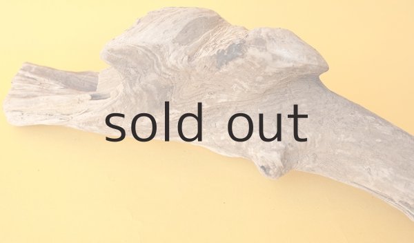 画像6: 変形流木 (6)