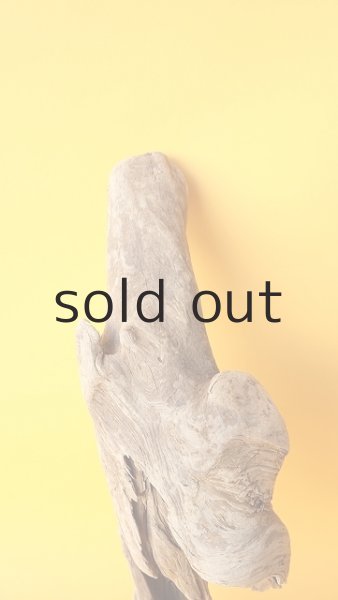 画像3: 変形流木 (3)