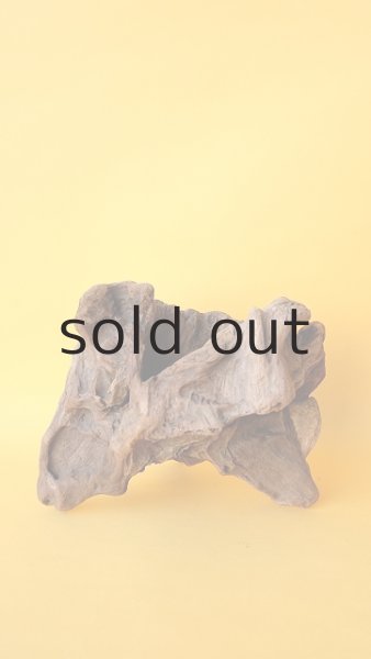 画像2: 変形流木 (2)