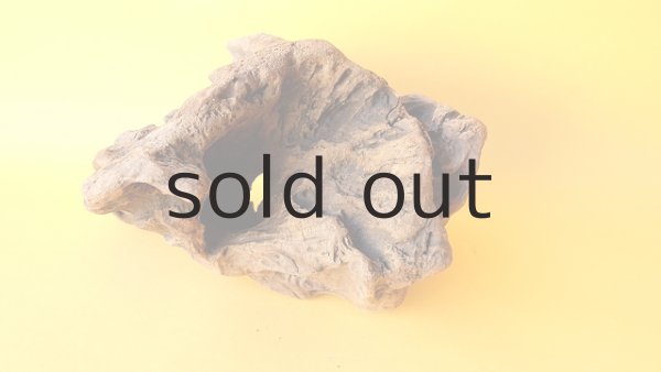 画像3: 変形流木 (3)