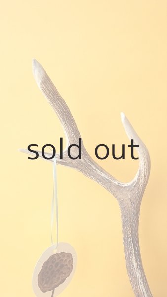 画像4: 小物掛け  by GRAY and GREEN (4)