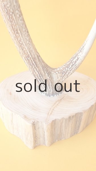 画像4: 小物掛け  by GRAY and GREEN (4)