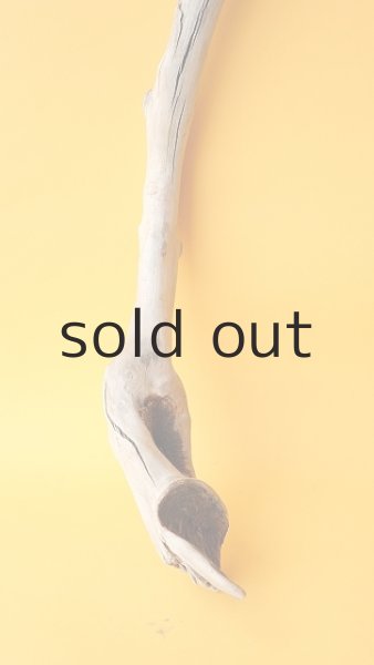 画像2: 枝流木 (2)