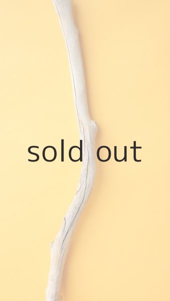 画像3: 枝流木 (3)