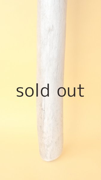 画像2: 幹流木 (2)