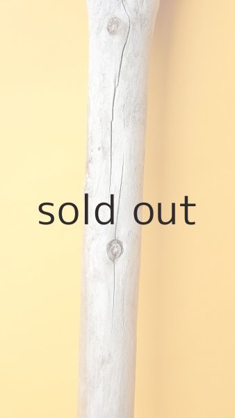 画像3: 幹流木 (3)