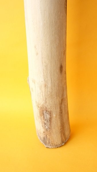 画像2: 幹流木 (2)