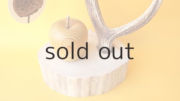 画像3: 小物掛け  by GRAY and GREEN (3)