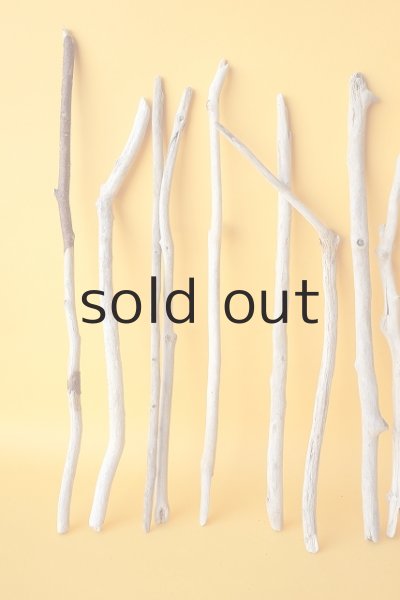 画像2: 小枝流木セット (2)