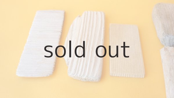 画像2: 板流木セット (2)