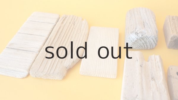 画像5: 板流木セット (5)