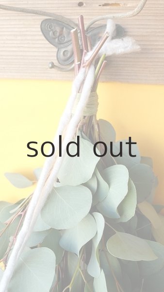 画像2: Dry plants for decor ユーカリシンプルスワッグ (2)