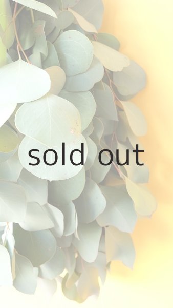 画像3: Dry plants for decor ユーカリシンプルスワッグ (3)