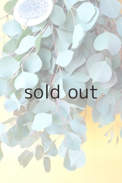 画像4: Dry plants for decor ユーカリシンプルスワッグ (4)