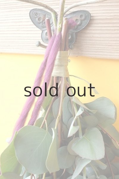 画像2: Dry plants for decor ユーカリ2種シンプルスワッグ (2)