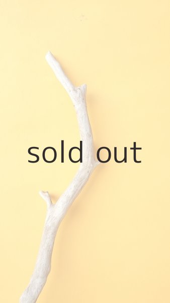 画像4: 枝流木 (4)